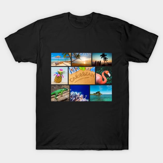 Caribbean Tropical beaches gallery Souvenir T-Shirt by peter2art